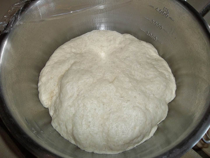 pretzel dough risen
